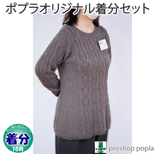 ノットとケーブル模様のプル 編み物キット 毛糸のポプラ