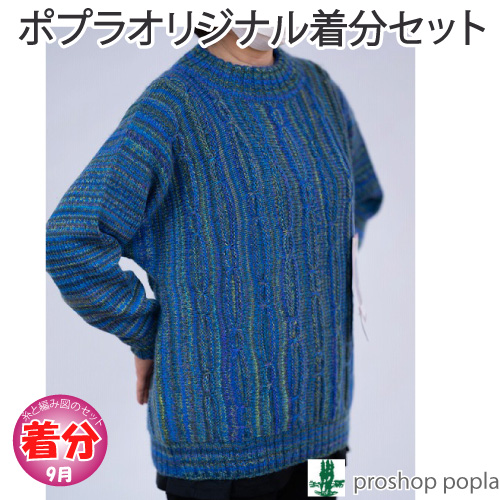 引き上げ模様のエレガントプル 編み物キット