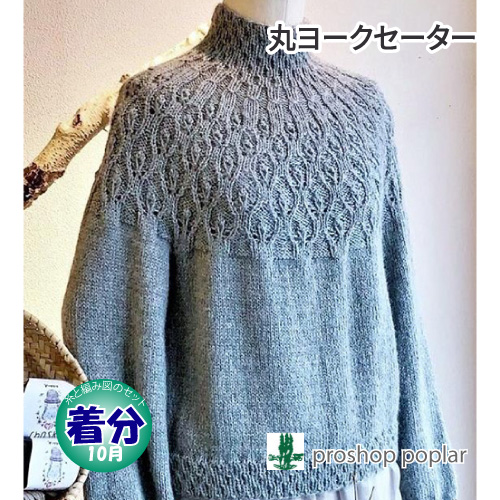 丸ヨークセーター 編み物キット 毛糸のポプラ