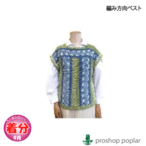 編み方向ベスト 編み物キット 毛糸のポプラ
