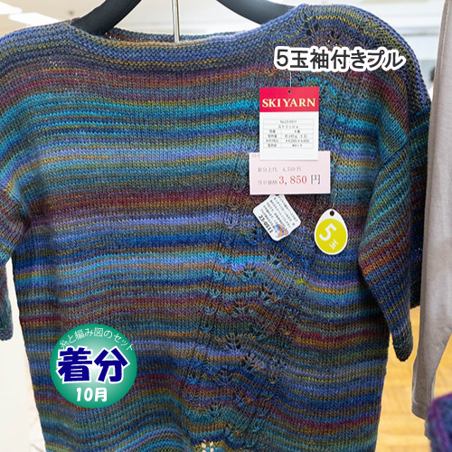 5玉袖付きプル 編み物キット