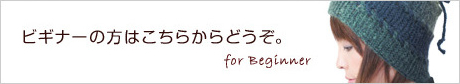 ビギナーの方はこちらからどうぞ。