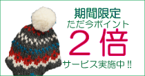 ポイント5倍付けキャンペーン実施中