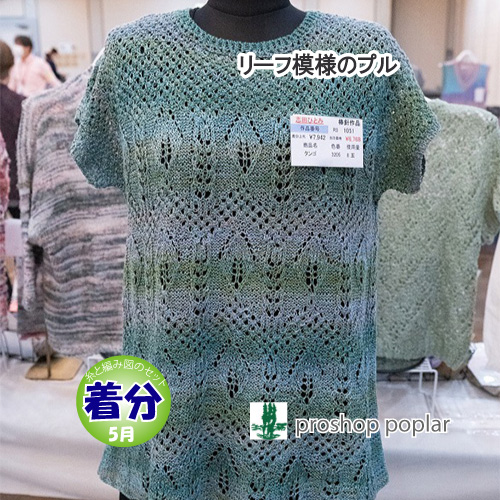 リーフ模様のプル 編み物キット