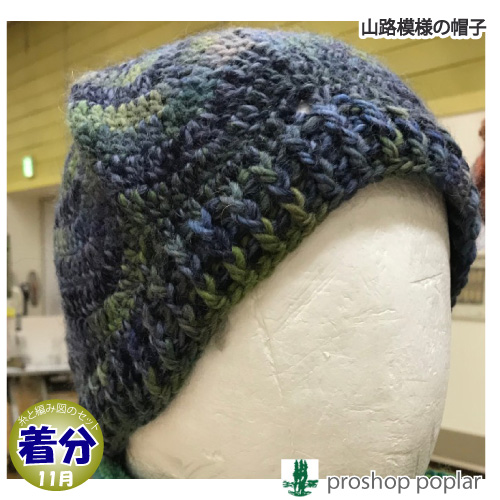 楽天市場】帽子 キット 毛糸 編み図 / YANAGIYARN(ヤナギヤーン