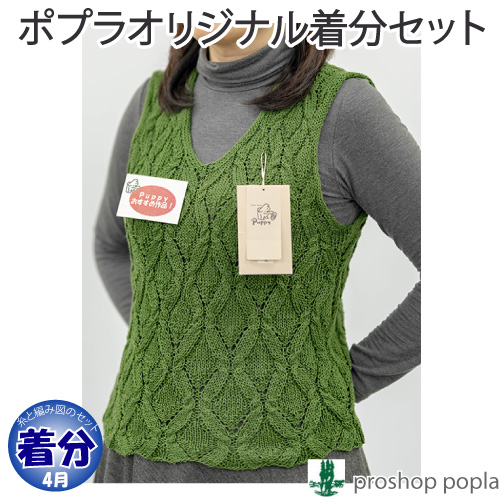 ダイヤ模様のセーター 編み物キット 毛糸のポプラ