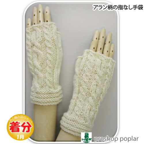 アラン柄の指なし手袋｜編み物キット 毛糸のポプラ | 毛糸のプロ