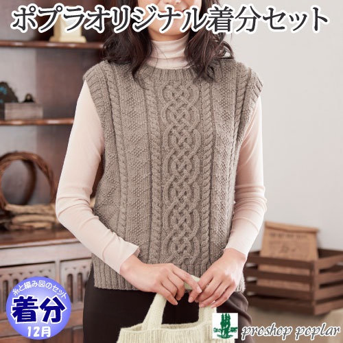アランとガンジー模様のベスト｜編み物キット色番色番40～53
