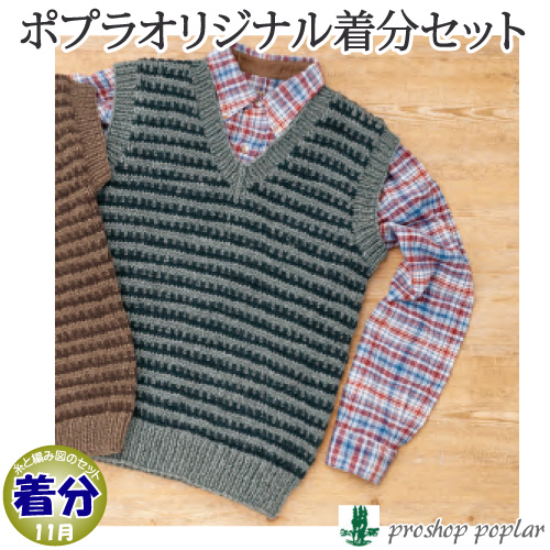 ボーダー模様のｖネックメンズベスト 編み物キット 毛糸のプロショップ ポプラ本店