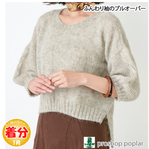 ふんわり袖のプルオーバー        