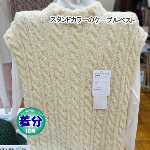 スタンドカラーのケーブルベスト｜編み物キット | 毛糸のプロショップ