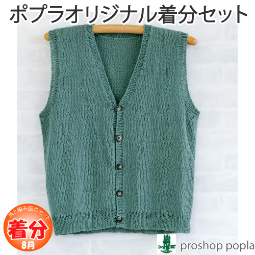 メリヤス編みのシンプルメンズベスト 編み物キット 毛糸のプロショップ ポプラ本店