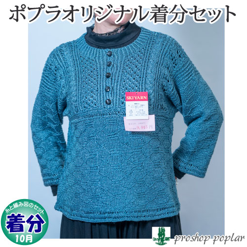 ガンジー風おしゃれプル 編み物キット 毛糸のプロショップ ポプラ本店