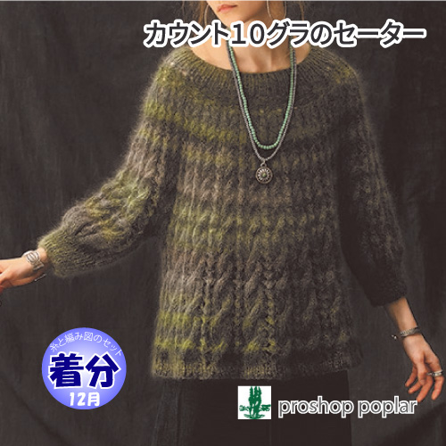 カウント10グラのセーター 編み物キット 毛糸のポプラ