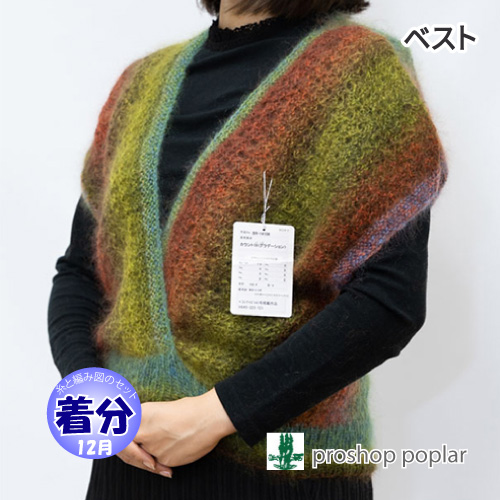 ベスト 編み物キット 毛糸のポプラ