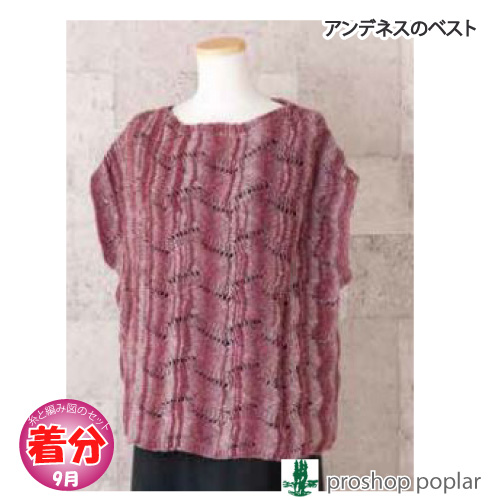 アンデネスのベスト 編み物キット 毛糸のポプラ