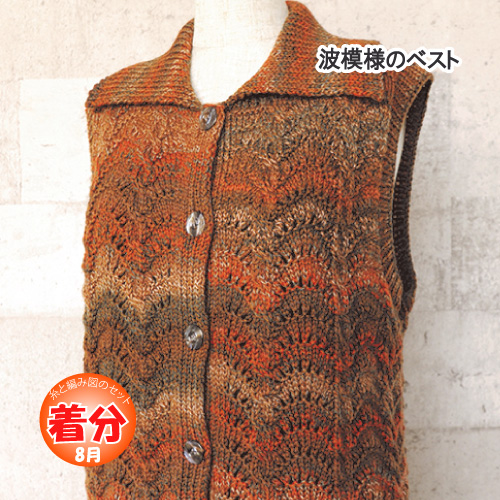 リッチモア 波模様のベスト 編み物キット