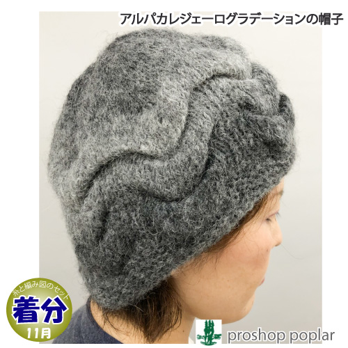 帽子 編み物キット 毛糸のポプラ