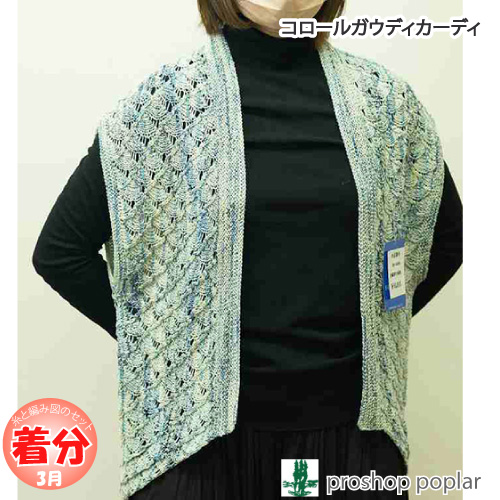 コロールガウディのカーディガン 編み物キット