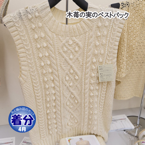 編み物 KIT 内藤商事 KT-1 KT-1 木苺の実のベスト 1セット 秋冬 ベスト