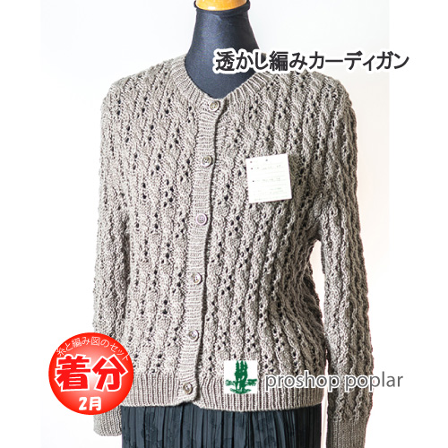 透かし編みカーディガン｜編み物キット | 毛糸のプロショップ ポプラ本店