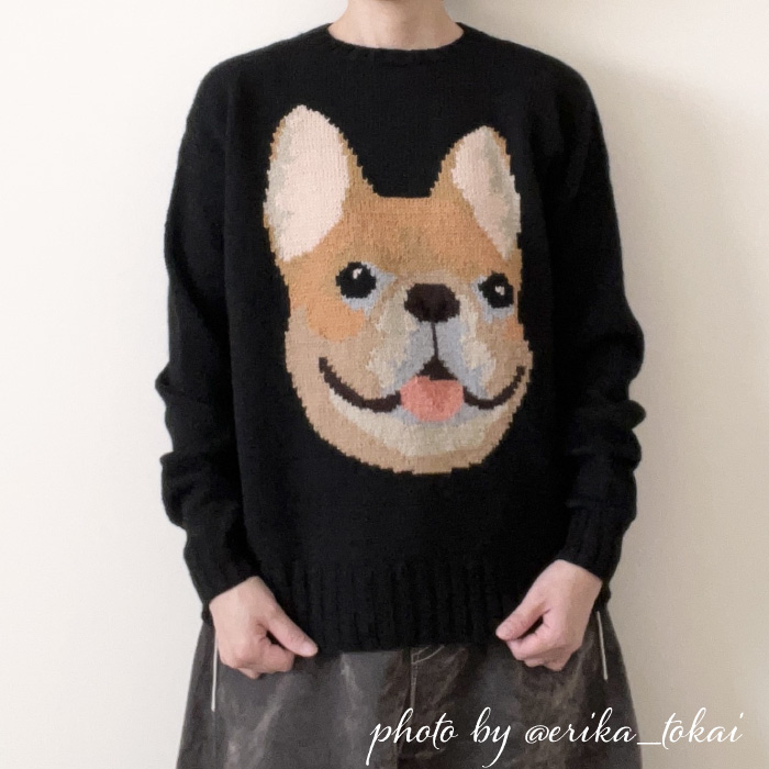 編み物 キット ポプラオリジナルキット [糸セット]フレンチブルのプル